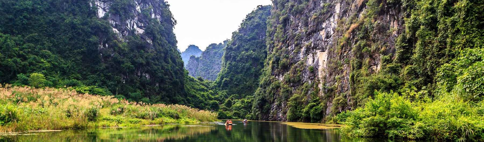 Tour trong nước