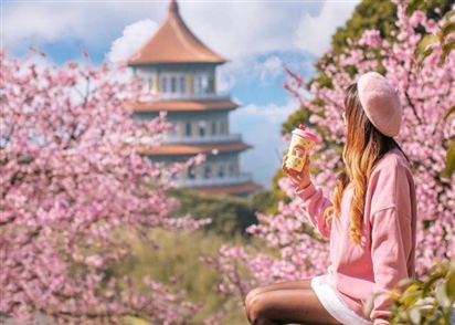 Tour Du Lịch Đài Loan Tết Âm Lịch